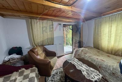 DE VANZARE - Cabana  / casa vacanta in COAS - 11