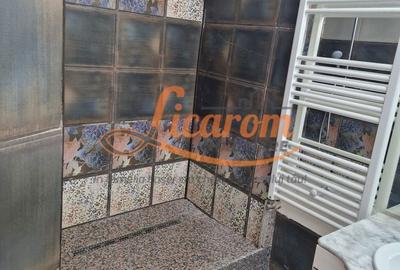 Garsonieră, mobilată în Central - 11