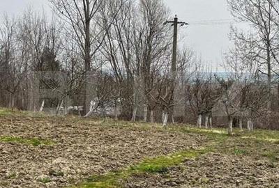 Casa individuala + Teren 4600 mp- Siret - 7