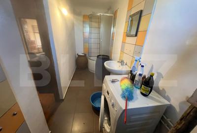 Casa tradi?ionala cu teren 4.500 mp ?i anexe gospodare? - 13