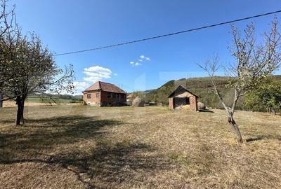 Teren intravilan de vanzare 14000mp,ideal pentru investitie,Stauini,Vintu de Jos - 6