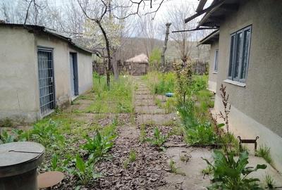 Teren de 1801 mp, în Ijdileni - 7