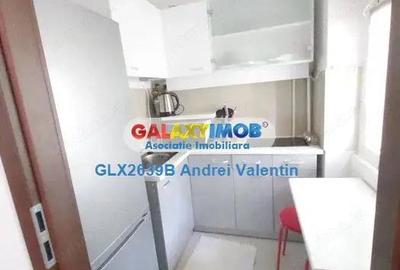 Inchiriere Garsoniera Moderna Tineretului - Piata Norilor - Metrou - 2