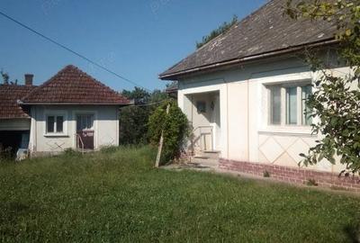 Casă cu 3 camere în Băsești - 2