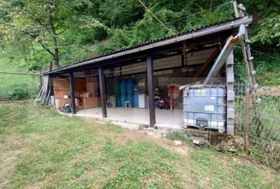 Casă cu 3 camere cu Teren 25000 Mp în Năsăud - 3