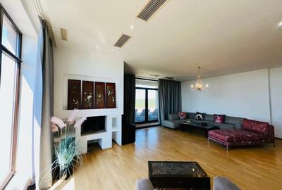 Aleea Privighetorilor- Penthouse 833 mp utili mobilat complet 3600 Euro + TVA - 7