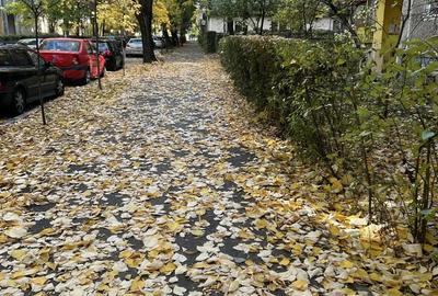 Vand apartament 2 camere - 9