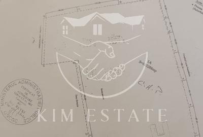 Ferma Pantelimon 10 hectare - 1