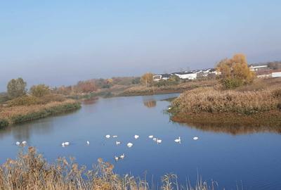 Teren de 380 mp, în Berceni