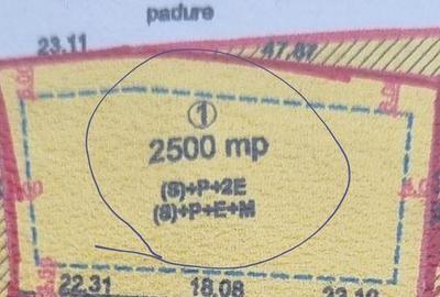 Teren de 2500 mp, în Paleu