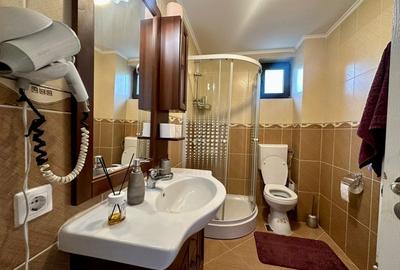 Pensiune de vanzare in Bobu, Scoarta - zona cu potential turistic in crestere! - 19