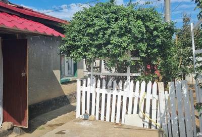 Casă cu 4 camere cu Teren 224 Mp în Central - 6