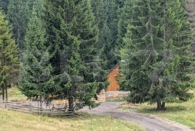 Teren de 600 mp, în Central - 2