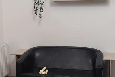 Apartament cu 2 camere decomandat în Brazda lui Novac