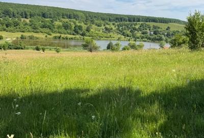 Teren extravilan 550mp  la drum ,spre vanzare in Tocile - 2