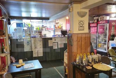 Spatiu comercial, 100 mp, terasa, Bld. Castanilor Spatiu comercial, 100 mp, terasa, Bld. Castanilor - 13