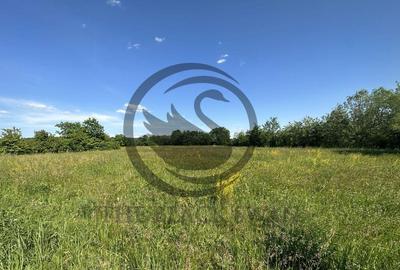 Teren Vanzare 11.000 MP Ghirdoveni | Comision 0% - 11