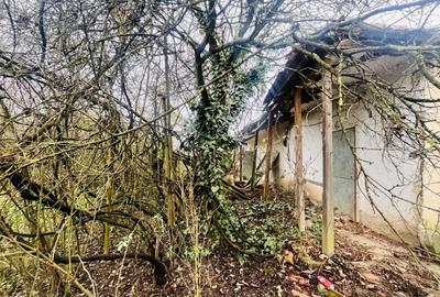 Teren Construcții intravilan de 1463 mp, în Ghizela - 5