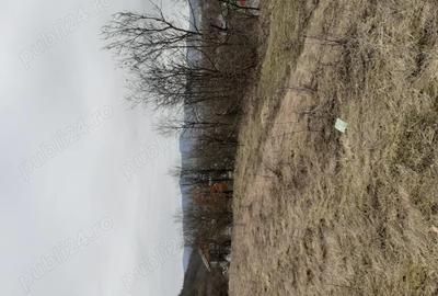 Casă în Central - 3