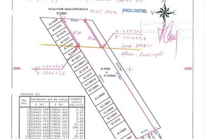 12368 mp teren pentru constructii,str-Iederei-str;Dumbravei deschidere 298 m - 9