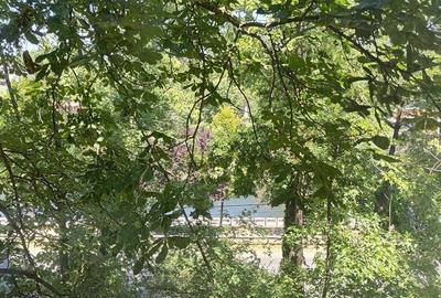 RECO Apartament 2 camere de inchiriat - 7