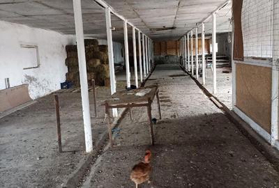 Spațiu comercial, de 480 mp, în Siliștea - 4