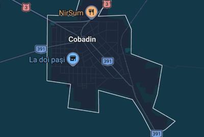 Teren agricol extravilan de 6 mp, în Cobadin - 1