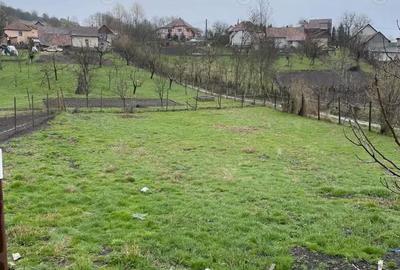 Casă cu 2 camere în Lunca - 1