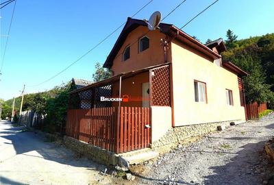 LOCUINTA TA DE VIS IN PADUREA NEAGRA - 16