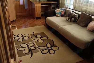 Apartament cu 3 camere semidecomandat în Govândari - 9