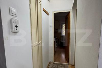 Garsoniera de inchiriat, 25 mp, Bradet - 1