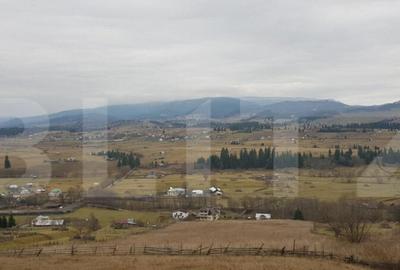 Teren de 50000 mp, în Central