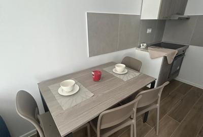 Garsoniera open space luminoasa, cu priveliste uimitoare in parcul Tineretului - 13