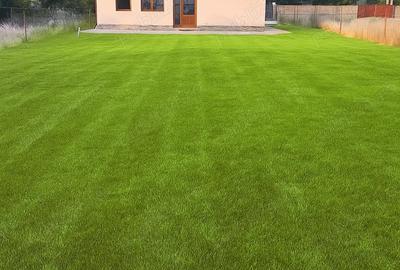 Casă cu 3 camere cu Teren 700 Mp în Sântana - 3