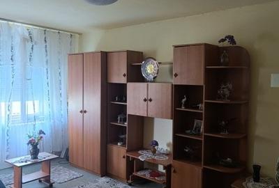 Apartament  2 camere -  Salajan - 2