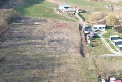 Teren de 7000 mp, în Hoghilag - 14