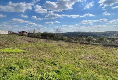 RECO teren de in zona Paleu - 2