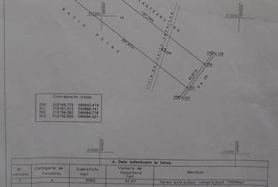 Teren agricol extravilan de 9983 mp, în Berceni - 11