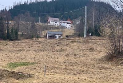 Teren de vanzare in loc. Rogojel, masivul Vladeasa - 2