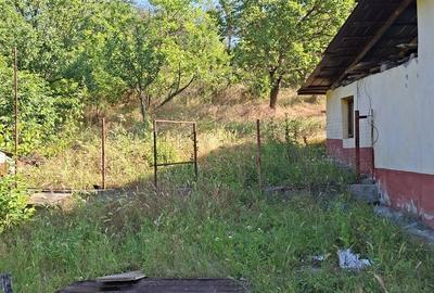 Casă cu 3 camere în Bujor - 3