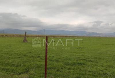 Teren de 30000 mp, în Prejmer - 2