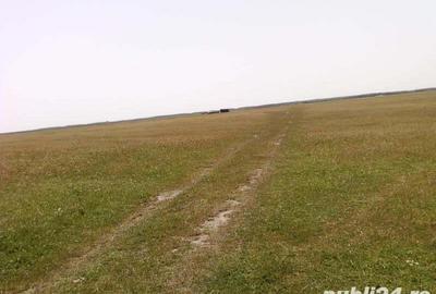 Teren de 9.5 mp, în Ceamurlia de Jos - 4