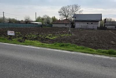 Teren de 500 mp, în Movilița - 5