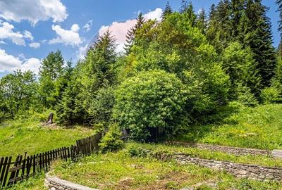 Casă individuală cu 20 camere cu Teren 10330 Mp în Central - 26