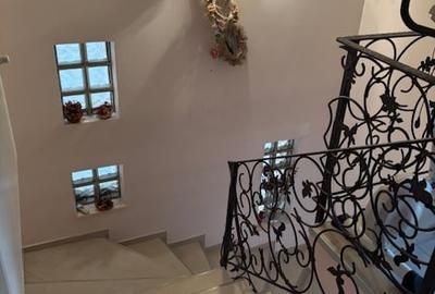 Casa parc Bazilescu - 12