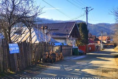 CALIMANESTI, TEREN 1231 MP - 7