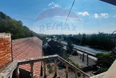 Casă P+E+M cu spălătorie auto și restaurant la DN 7 în LIPOVA - 11