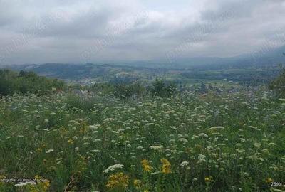 8.500 eur ! Curtuiusu Mic, 17 ari intravilan - 1