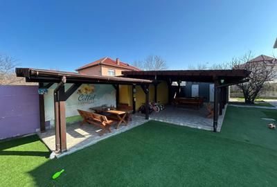 Casă individuală cu 12 camere cu Canalizare în Crișan - 20