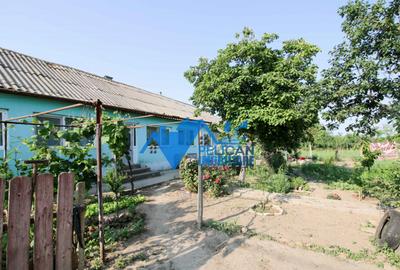 Casa cu teren in Salcioara (Jurilovca) - 2600mp - 2